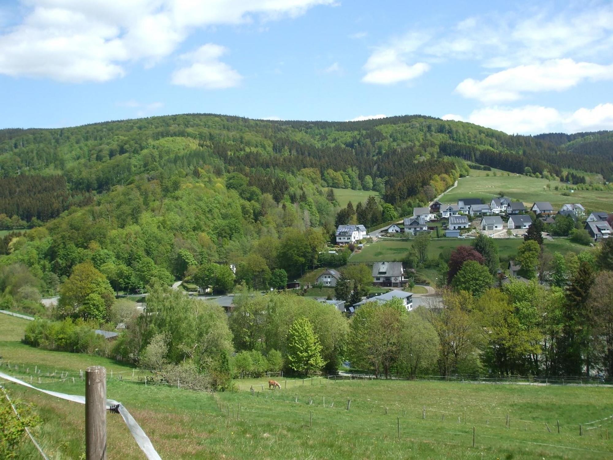 Hankeln Apartament