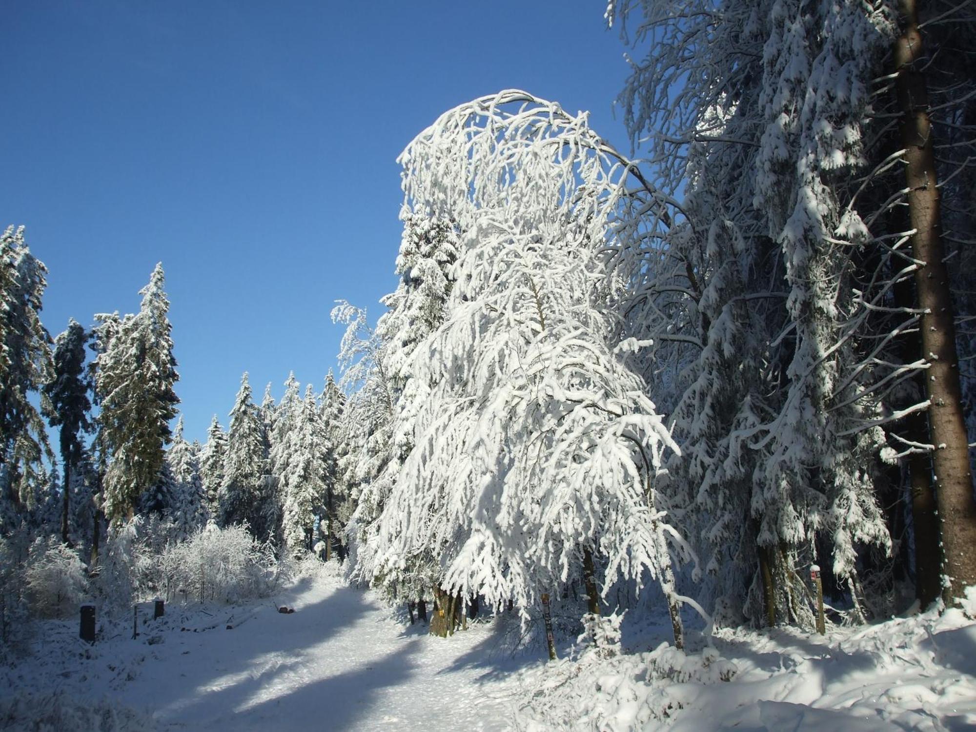 Hankeln * Winterberg