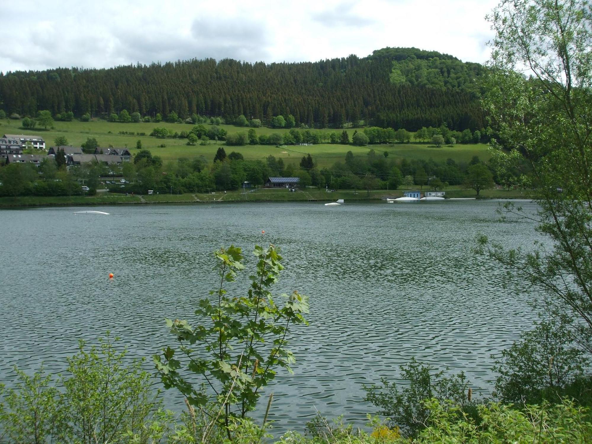 Hankeln
