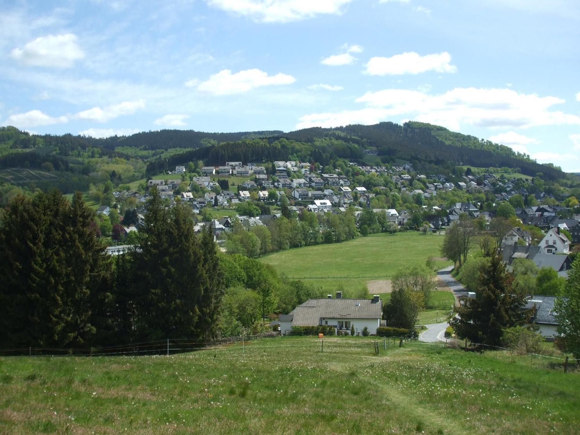 Hankeln *